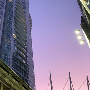 Meet your Posher, Sammy